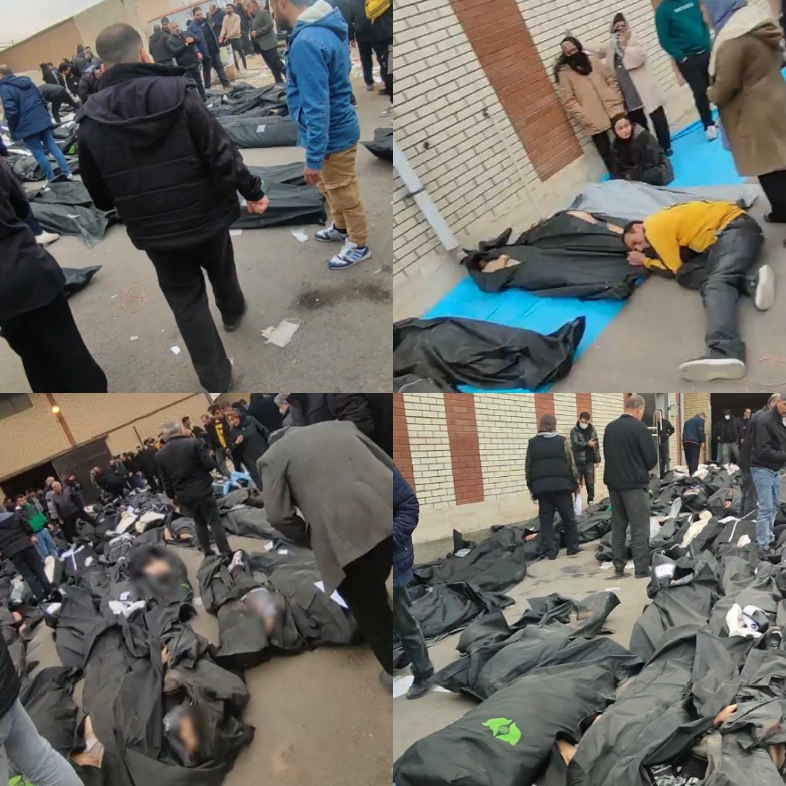 People search among rows of body bags holding victims outside a facility in Iran