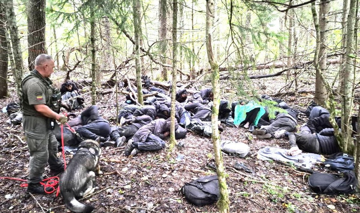 A Lithuanian border officer with a dog guards a group of detained migrants