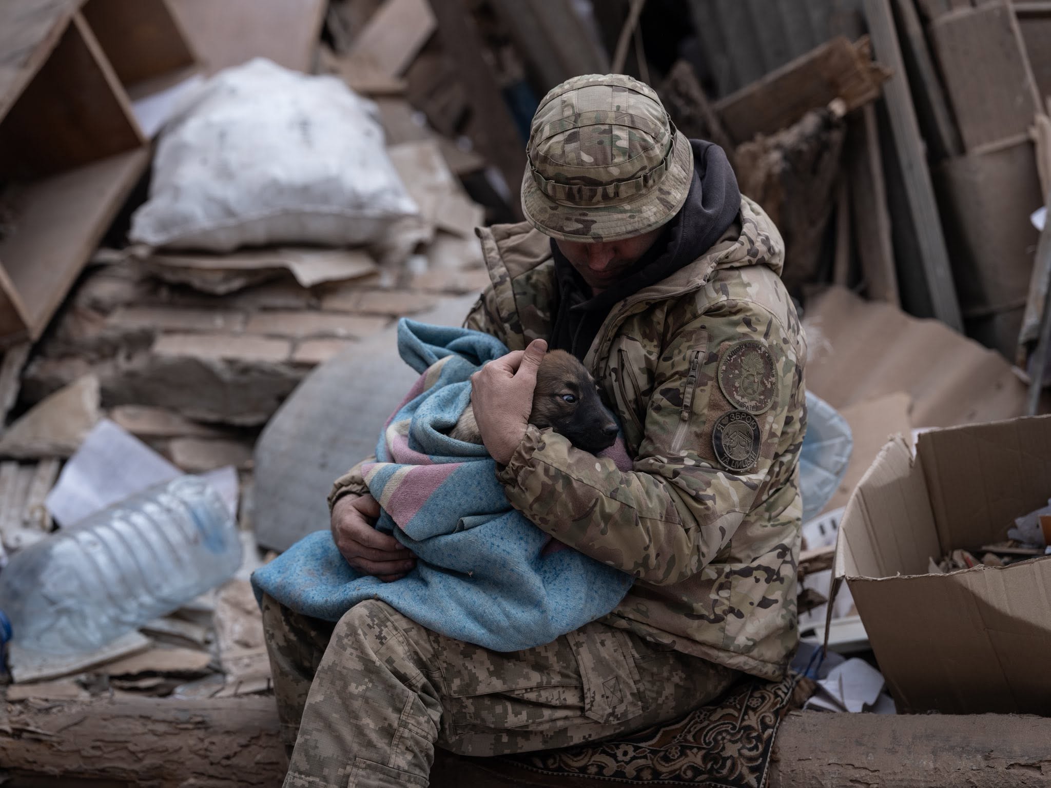 A Ukrainian soldier shelters a puppy amid the ruins